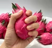 Handmade Simulation Pitaya Bui - Building Blocks recension och pris